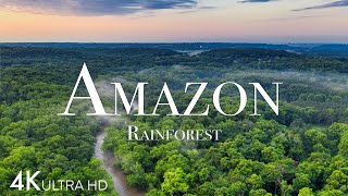 Amazon in 4K  The World’s Largest Tropical Rainforest  Aerial Drone  Scenic Relaxation Film [upl. by Lenoel]