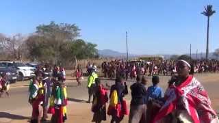 Swazi Reed Dance Umhlanga 2014 HD [upl. by Eelsel]