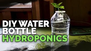 DIY Water Bottle Hydroponic System for Propagating and Herbs [upl. by Ahsiuqet]