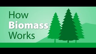 How Biomass works [upl. by Nallek]