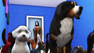 I Abducted Everyones Pets and Ruined the Neighborhood in The Sims 4 [upl. by Jori394]