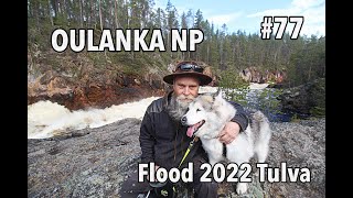 Kiutaköngäs Oulanka National Park Kuusamo 2022 Tulva [upl. by Lumpkin]