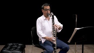 Instrument Bass Clarinet In Depth [upl. by Eiboj]