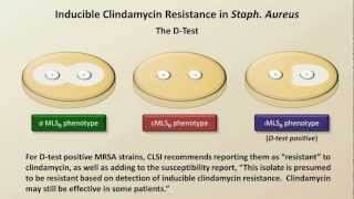 Antibiotic Resistance Antibiotics  Lecture 9 [upl. by Onyx]