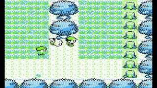 Level 100 Nidoking Glitch Pokemon Yellow [upl. by Ellehc974]