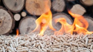 Breaking down biomass part one  Sustainable Energy [upl. by Tsnre]