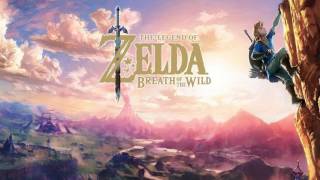 Field  Night The Legend of Zelda Breath of the Wild OST [upl. by Einhorn]