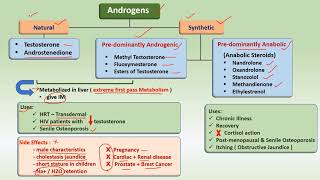 Androgens amp AntiAndrogens  Drugs  uses [upl. by Edita727]