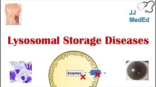 Lysosomal Storage Diseases  Overview and What You Need to Know [upl. by Marji]