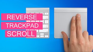 How To Reverse Touchpad Scrolling In Windows 1011 Bootcamp OS [upl. by Berhley]