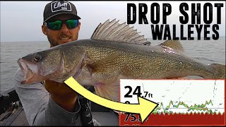 SUPER Finesse Way to Catch MIDSUMMER Walleyes [upl. by Okiron]