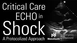 Critical Care Echocardiography in Shock [upl. by Concordia]