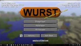 How to install Wurst hacked client for Minecraft 1171 [upl. by Mose790]