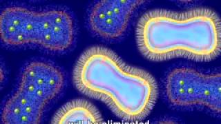 Animation of Antimicrobial Resistance [upl. by Amsab157]