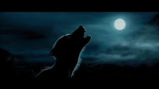 Werewolf sound effects HD [upl. by Tulley]