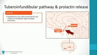 Antipsychotics Dopaminergic Pathways and Advanced Mechanisms [upl. by Haon]