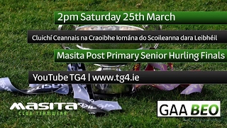 TG4 TO STREAM LIVE GAA MATCHES ONLINE [upl. by Loesceke20]