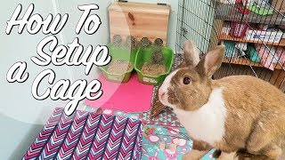 How To Set Up A Rabbit Cage [upl. by Libre]