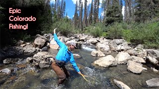 The TOP 10 fishing spots in Colorado  McFly Angler Fly Fishing [upl. by Ecirrehs130]