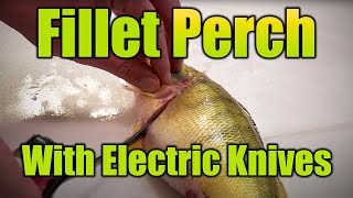 How to Fillet Perch w Electric Knives [upl. by Nivalc]