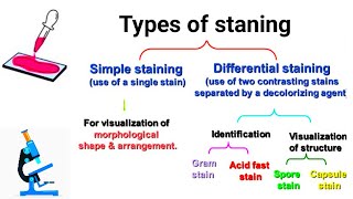 Types of staining  Comman Staning techniques  Part 1 [upl. by Ettesoj]