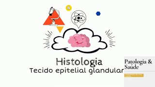 Histologia Tecido epitelial glandular [upl. by Glyn]