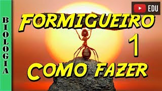 Formigueiro 1Como fazer seu formigueiro em casa [upl. by Kokaras903]