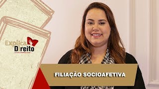 Explica Direito Filiação Socioafetiva  2019 [upl. by Neeoma936]