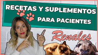 COMIDA para PERROS con INSUFICIENCIA RENAL  🥩¡RECETAS y todos los SUPLEMENTOS💊 [upl. by Hubble]