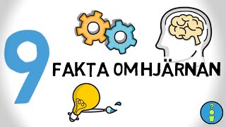 9 FAKTA OM HJÄRNAN [upl. by Ihtak]