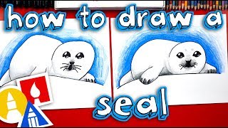 How To Draw A Baby Seal [upl. by Retswerb]