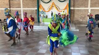 Danzas de Tula Tamaulipas [upl. by Ovid]