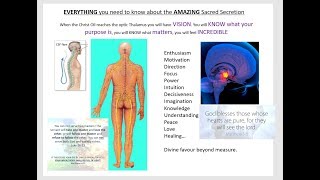 Sacred Secretion  Christ Oil  True Anointing  HEAVEN ON EARTH [upl. by Sola417]