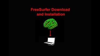 FreeSurfer 2 Download and Install [upl. by Ilrebmik]