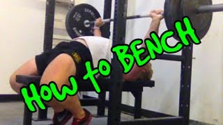 How to Bench Press [upl. by Lentha972]