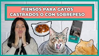 PIENSO PARA GATOS ESTERILIZADOS LIGHT😸  RÁNKING DE LOS MEJORES✌ [upl. by Sudnor]