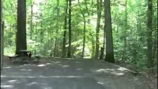 Tuckahoe State Park Campground Review Part 2 [upl. by Phillida]