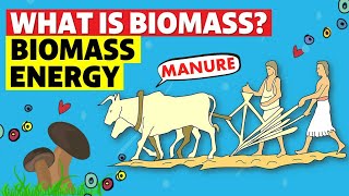 Biomass Energy [upl. by Kuhn110]