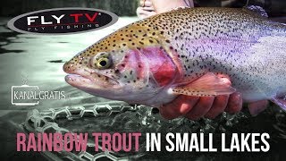 FLY TV  Rainbow Trout Fly Fishing in Small Lakes [upl. by Nahpos]