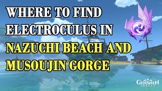 EN Where to Find Electroculus In Nazuchi Beach and Musoujin Gorge Genshin Impact Guide [upl. by Jessabell]