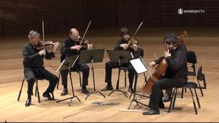 Franz Schubert String Quintet in C Major D 956 [upl. by Noelyn]