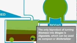 Biomass Gasification [upl. by Ytsanyd]