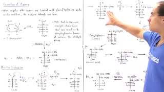 Osazone Formation from DGlucose [upl. by Ajed]