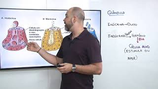 Biologia  Tecido Epitelial Glandular  Prof Nelson [upl. by Raddy331]