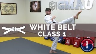 Taekwondo Follow Along Class  White Belt  Class 1 [upl. by Avis]