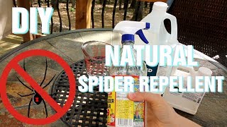 DIY Natural Spider Repellent [upl. by Connolly95]