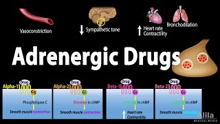 Adrenergic Drugs  Pharmacology Animation [upl. by Vasilek722]