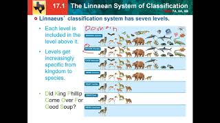 Mythical Creatures and How to Make Them [upl. by Gnuhn]