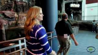 Inside look at Ripleys Aquarium of the Smokies in Gatlinburg TN [upl. by Lertram850]