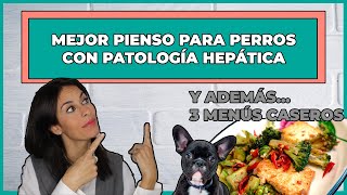 PIENSOS PARA PERROS HEPÁTICOS  MÁS 3 MENÚS CASEROS 🍳 [upl. by Arikihs983]